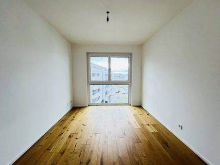 Q11 - Ruhig & zentral: Wohnen zwischen Altstadt & Flusslandschaft - Foto 3