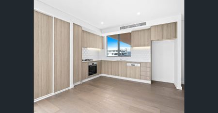 Over-sized Luxury Built Apartment - Photo 4