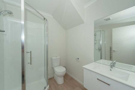 Spacious and sunny executive two bedroom apartments only a few minutes walk to Waikato Hospital. - Photo 4