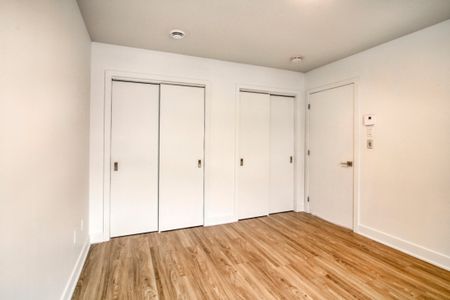 9675 Av. Papineau, app.402, H2B 3C8, H2B 3C8, Montréal - Photo 4