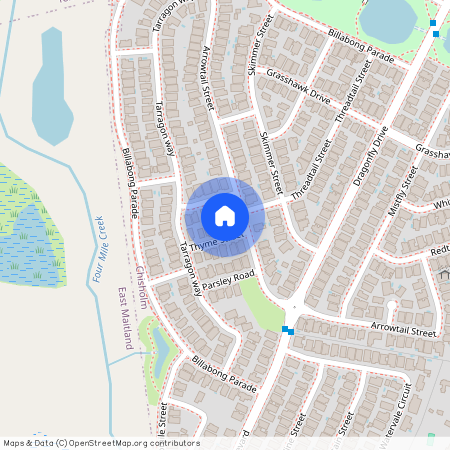 9 Thyme Street, Chisholm NSW 2322