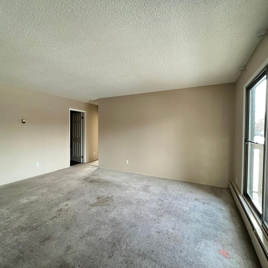 Pet Friendly 2 Bedroom 1 Bathroom Apartment - Photo 1