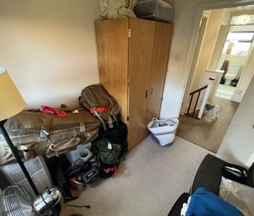 Thyme Close - Photo 6