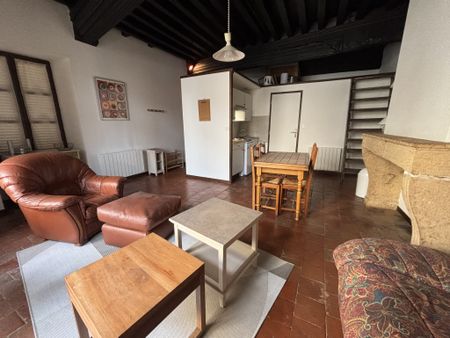 Location Appartement 1 pièce 33m² CHARLIEU 42190 - Photo 3