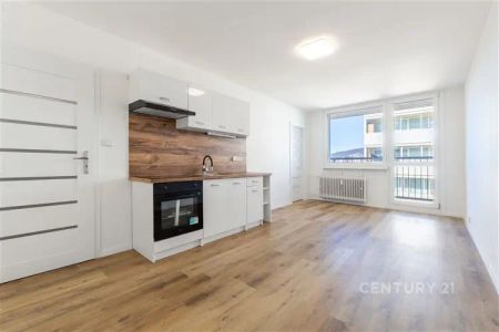 Pronájem bytu 2KK po kompletní rekonstrukci, ul. Brněnská, Most – 11. patro, volný od 1. 7. - Photo 3