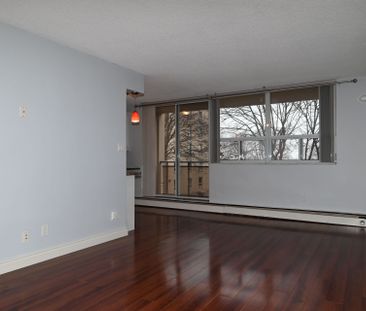 For Lease - 6400 Huggins Street Unit# 307, Niagara Falls, Ontario - Photo 1