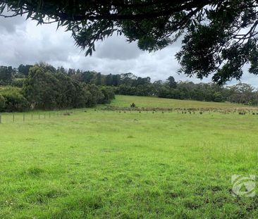 COUNTRY LIVING - Photo 6