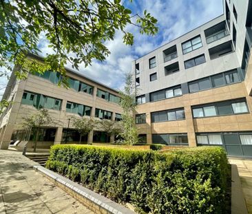 2 bedroom penthouse to rent - Photo 5