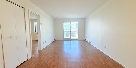 Antoine-du Verdier Appartement 3 ½ à Louer Sainte-Foy / Sillery Août 2027 - Photo 3