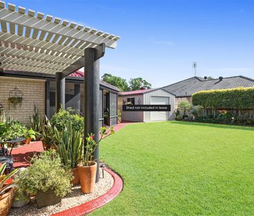 33 Kalowendha Avenue, Pelican Waters QLD 4551 - House For Rent | Do... - Photo 6