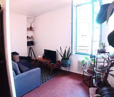 Location Appartement 1 pièce 29m² GRASSE 06130 - Photo 3