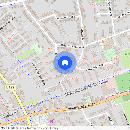 Hohensteinstr. 7, 45701, Herten Ot Langenbochum