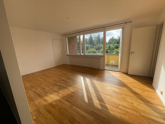 Storgatan, Sollefteå - Foto 1