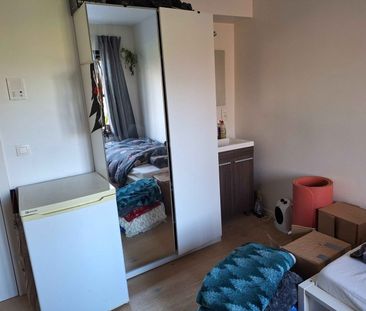 Doorniksesteenweg 320, kamer 6 - Foto 3