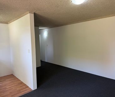 RENOVATED 1 BEDROOM UNIT - Photo 5