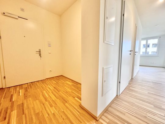 Jakomini Verde - NEUBAU in RUHELAGE - verfügbar ab 15.02.2026 - Photo 1