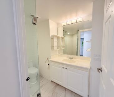 For Lease - 24 Wellesley Street Unit# 212, Toronto, Ontario - Photo 5