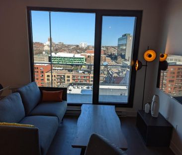 Appartement à louer - Montréal (Ville-Marie) (Centre) - Photo 1