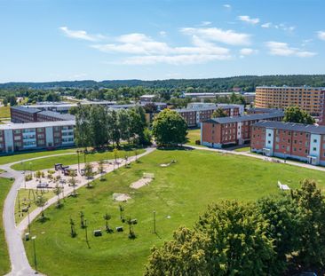 Hagebygatan 231 - Foto 3