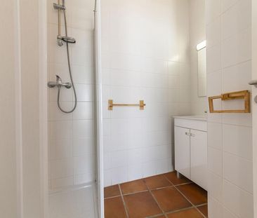 Rua Doutor Mendonça - Photo 6