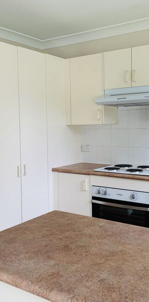 Large Three bedroom with air conditioning in selective school zone - Photo 1