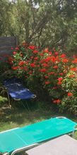 Bungalow για ενοικίαση - Λάμπη, - Photo 1