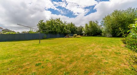 Essential Essex - Photo 2