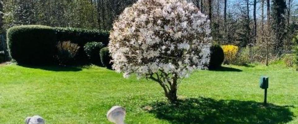 ✅ Wohnung f. hilfsbereite Mitbewohnerin respektvolles Miteinander - Foto 1