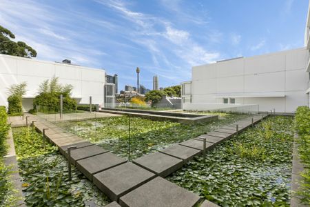 713/46-50 Burton Street, Darlinghurst NSW 2010 - Apartment For Rent | Domain - Photo 4