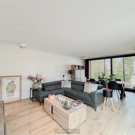 Te huur, energiezuinige nieuwbouwappartement te Brakel - Photo 3