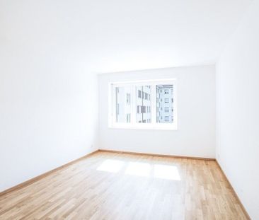 At the heart of the action - Photo 4