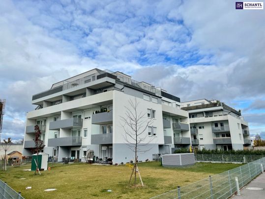 2-Zimmer mit großer Terrasse! BLICK RICHTUNG SCHNEEBERG! inkl. Küche, Parkettboden, Kellerabteil, uvm. - *Garagenanmietung möglich* - Photo 1