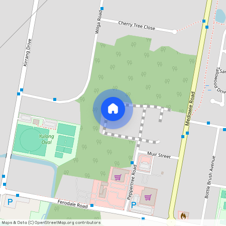 25B Nut Bush Drive, Medowie 2318, New South Wales