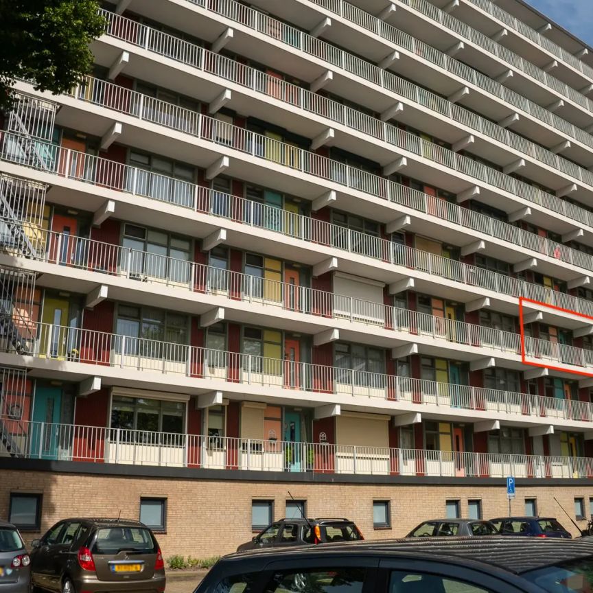 Appartement De Hoge Beek 24, Venray - À louer - Foto 2