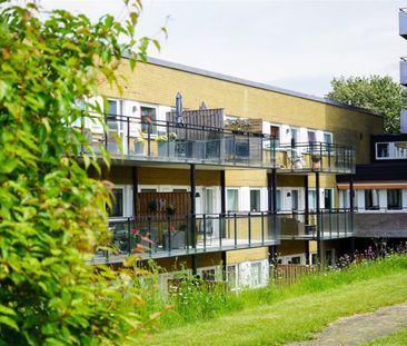 Kronomagasinsgatan 48 - Photo 5