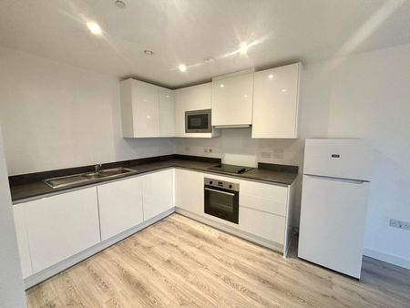 Erasmus Drive - Photo 2