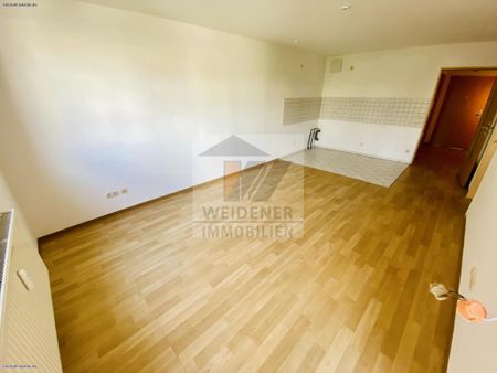 Zentrumsnahe 2-Raum Wohnung mit Südbalkon und Aufzug! Nahe dem HBF und Hochschulen! - Foto 2