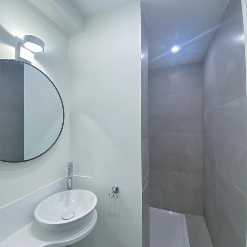 Felix Delhasse - Photo 1