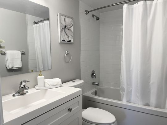 Bristol Park Place Apartments - ALL INCLUSIVE - Photo 1