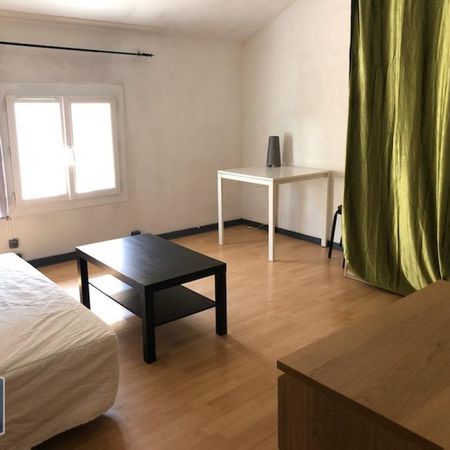 Location Appartement 1 pièce 25m² TOULOUSE 31400 - Photo 4
