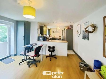 Richmond Road, Cardiff, CF24 - Photo 3