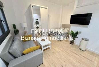Alquiler de estudio en Avenida de España, 1
