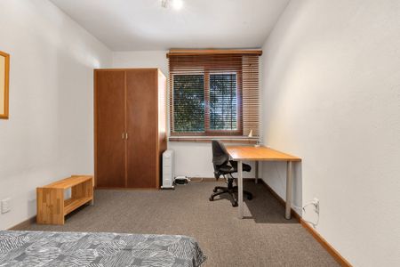 14-bedroom shared unit / apartment, Level , Mackinnon Parade - Photo 5