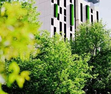 Ultra Twin Apartment King Single Bed - Photo 6