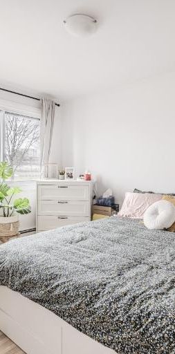 Appartement 3 ½ à louer Sainte-Foy / Sillery juillet 2026 - Photo 1