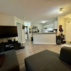 1 Bedroom Condo - Photo 2