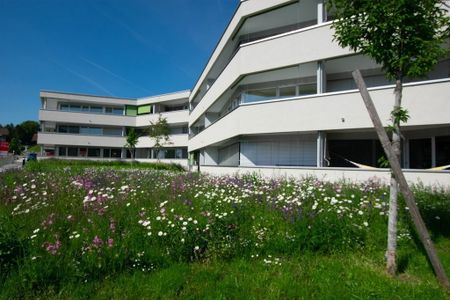 2.5 Zimmer, 64 m², EG - Foto 5