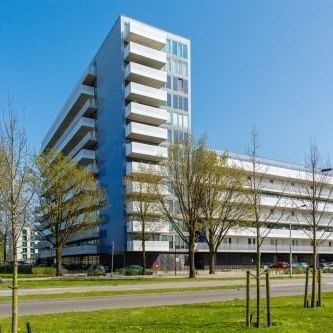 Vijfhagen, 4813 XH Breda, Nederland - Foto 3