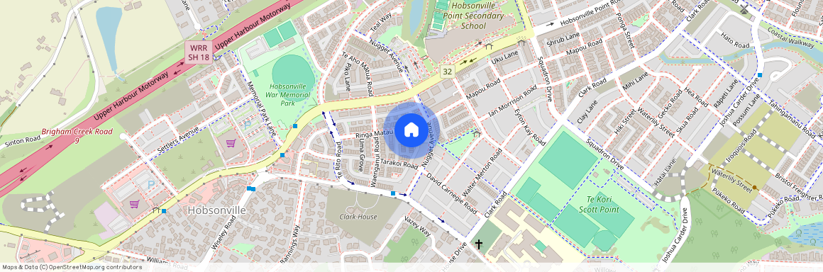 21 Ringa Matau Road, Hobsonville, Auckland