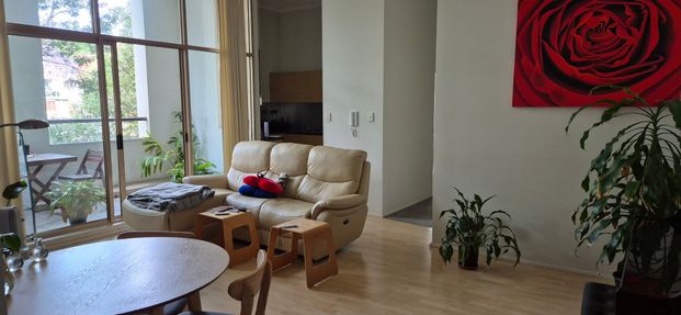 Surry Hills - Photo 1